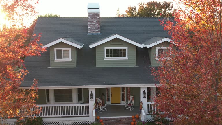 Best Sheet Metal Roofing  in Kalaheo, HI