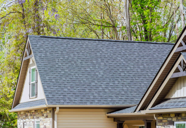 Best Asphalt Shingle Roofing  in Kalaheo, HI