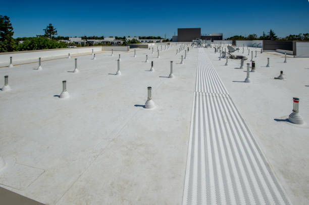 Best Roof Repair  in Kalaheo, HI
